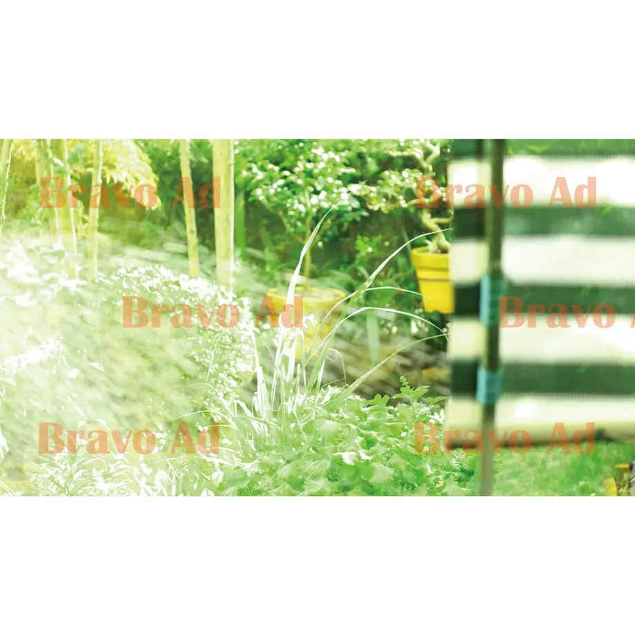 5ec117efcee9ea1d76db061a
