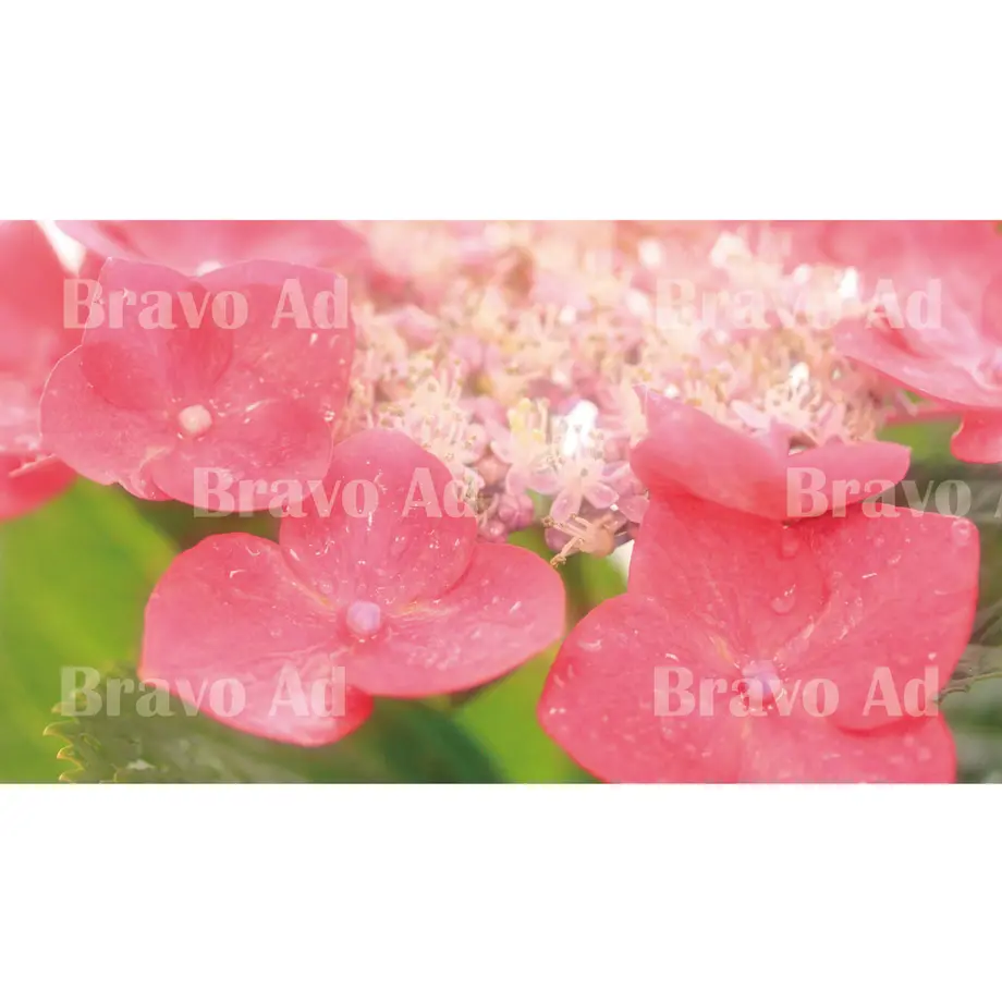 5ec110b172b9115e09f0b38a