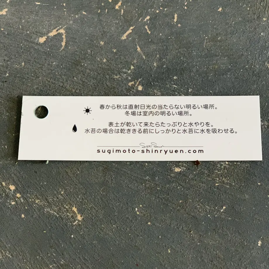 60865f20df62a954eceb6685