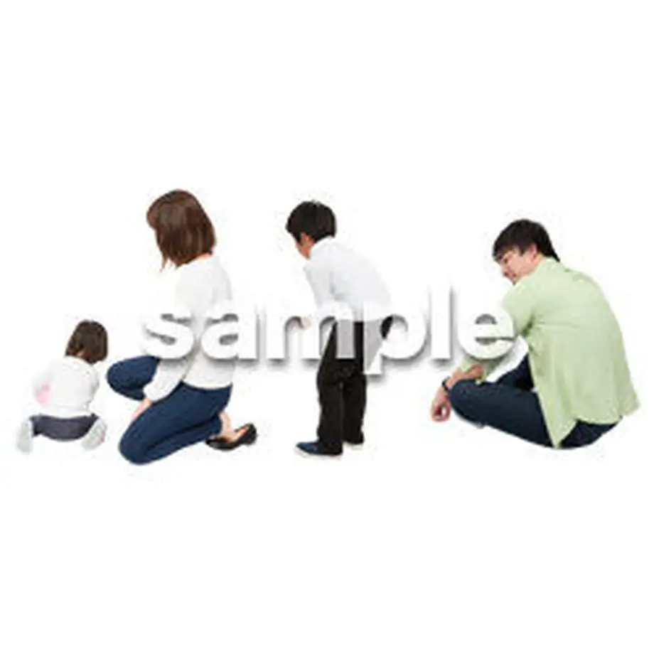 5bd461a65496ff73c500022d