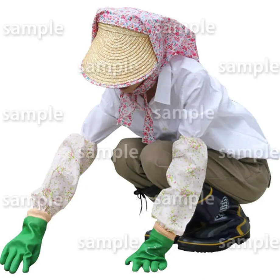 5bac8d6b50bbc32aeb0004f2