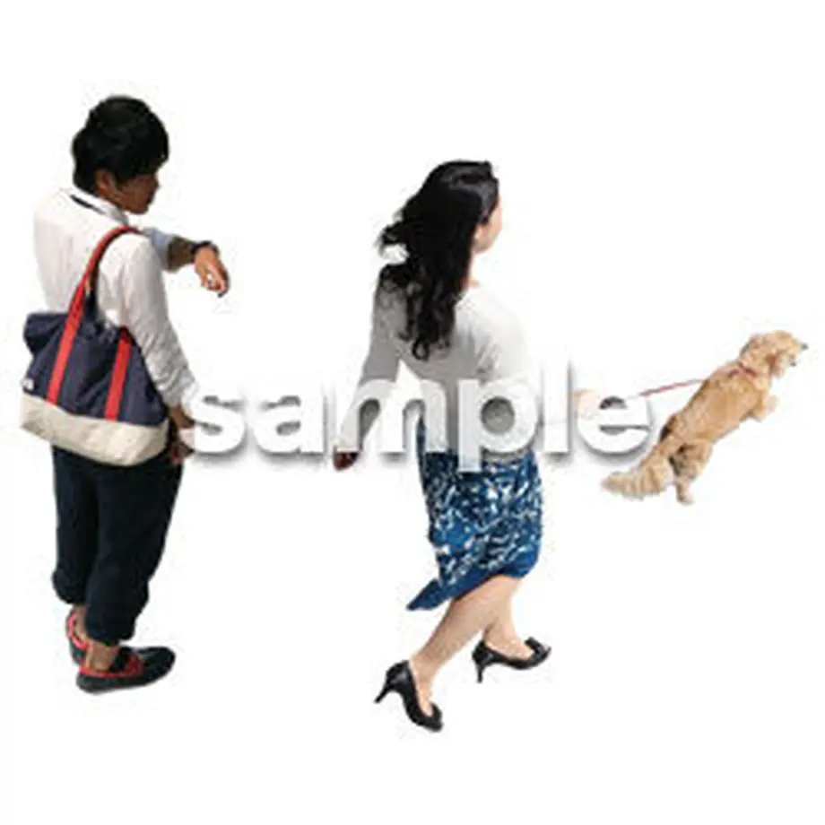 5bc15e575496ff1fe0000019