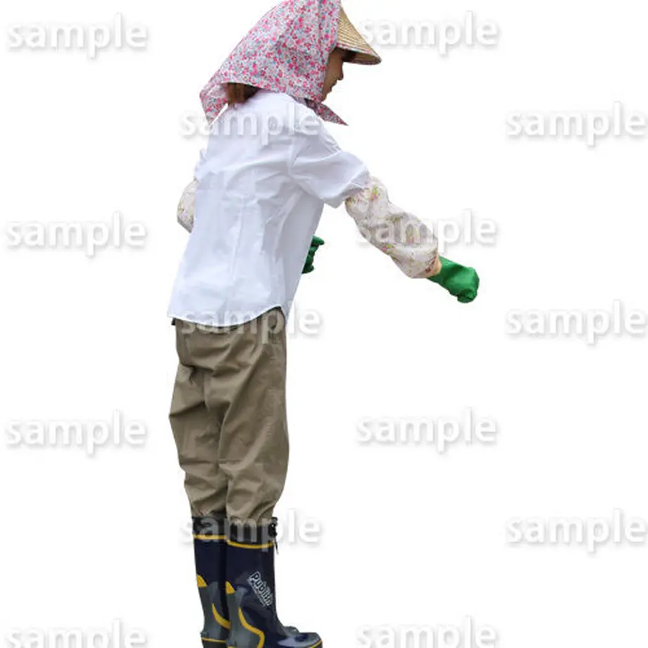 5bac8d6b50bbc32aeb0004f2