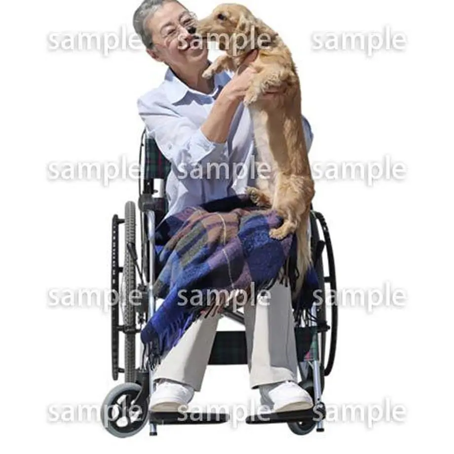 5c1b063a787d84438ccb30b9