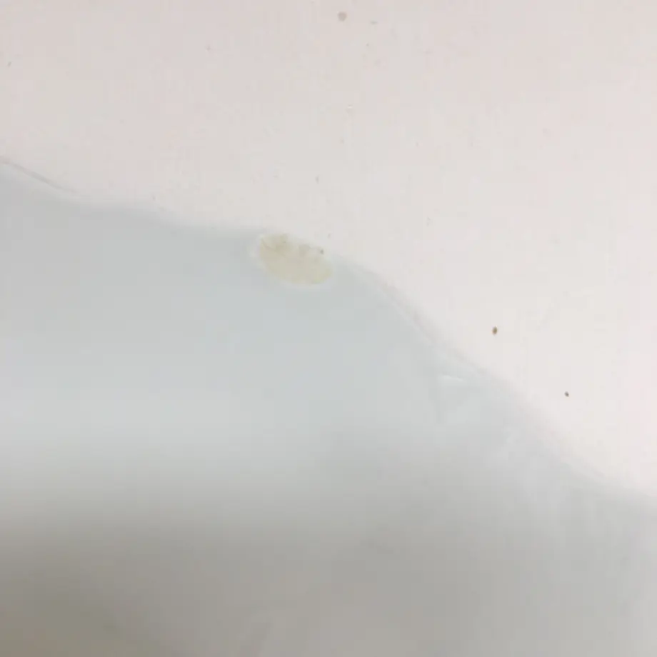 626d6572f4acdf50667a7844