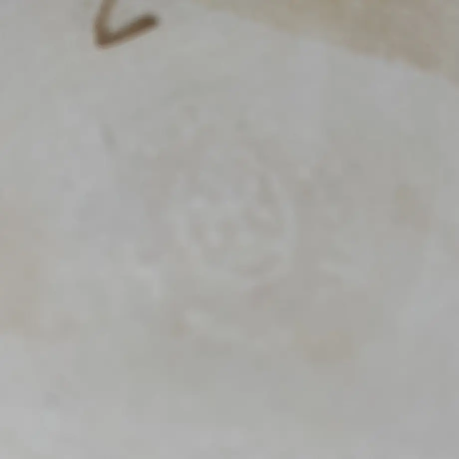 637606184b08395c6a32e5f8