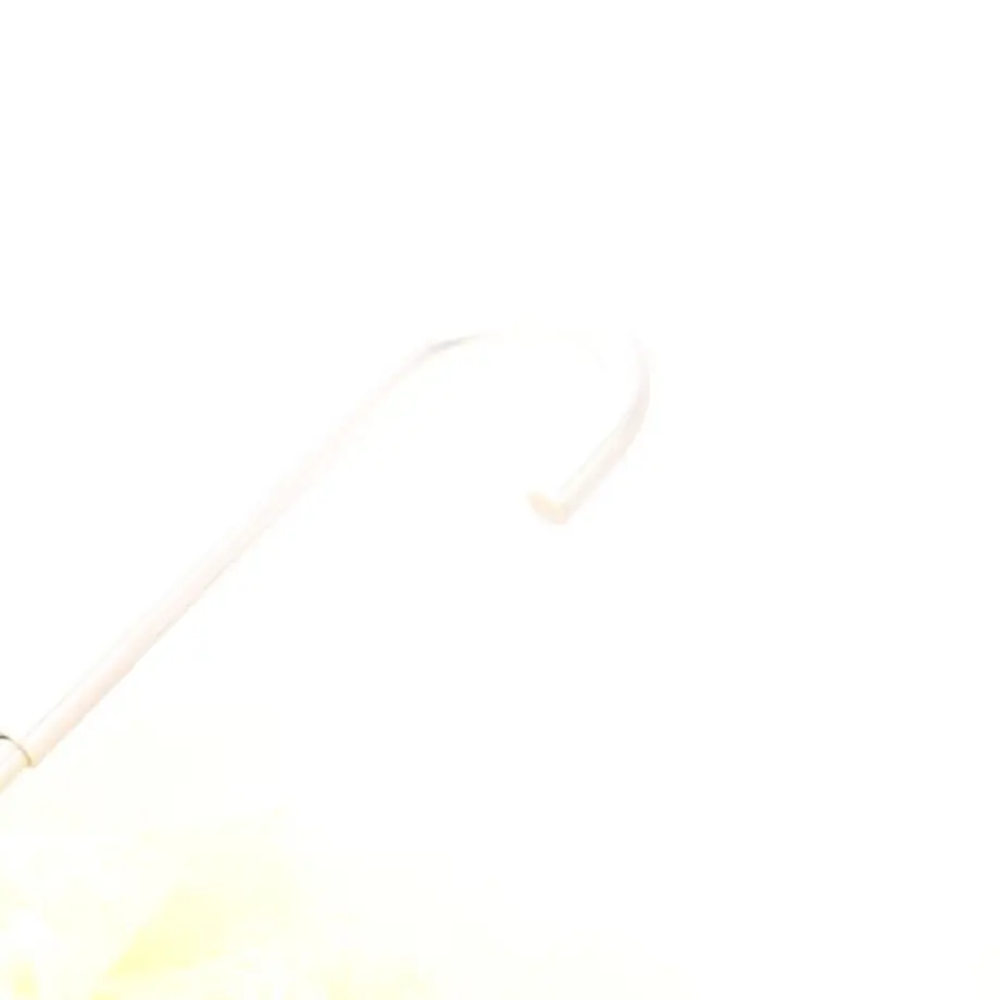 6180ddd4c9fd1f0f41bd8cb1