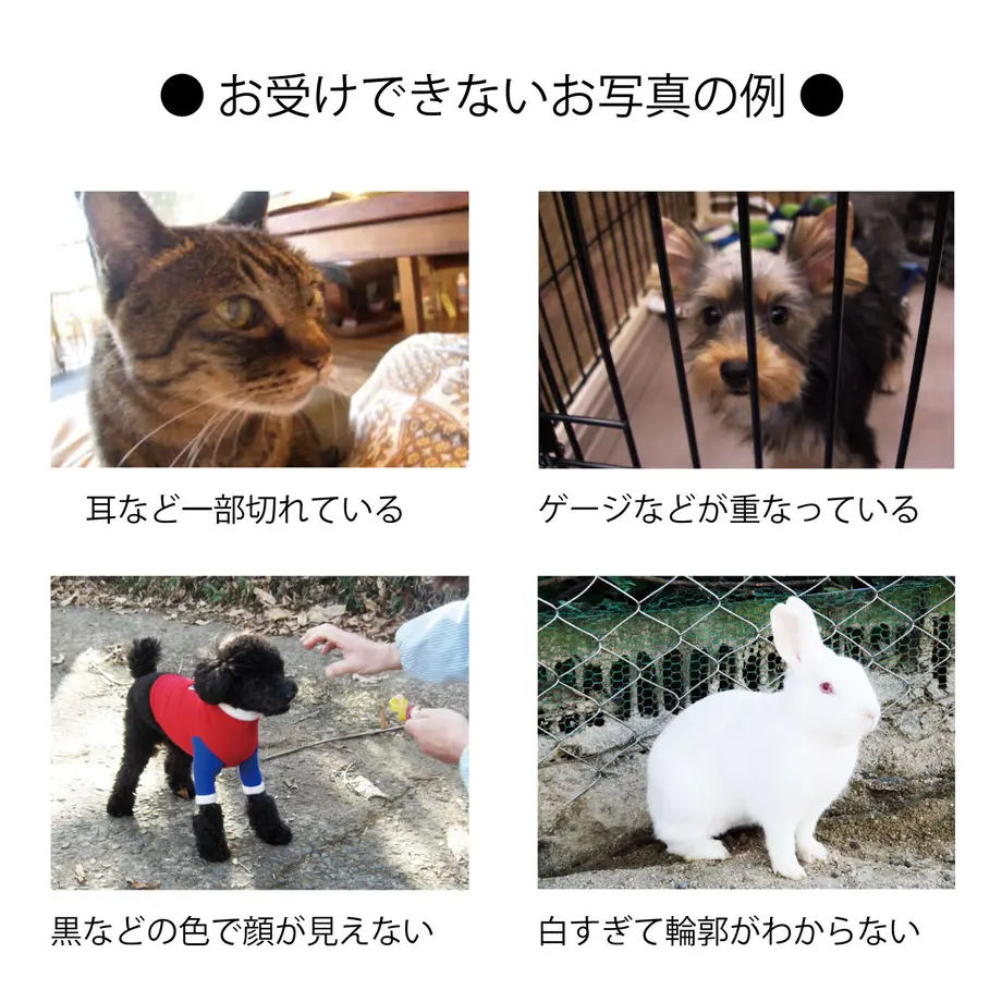 5ff2fc7fb00aa33614b6616c