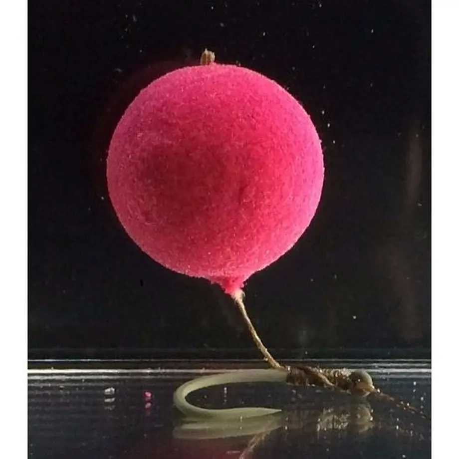 5d663f5fe56281060f6ca3d8