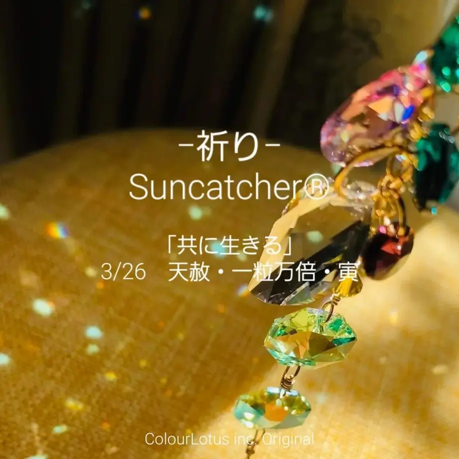 623acb7c9a706209f3d6dd1e