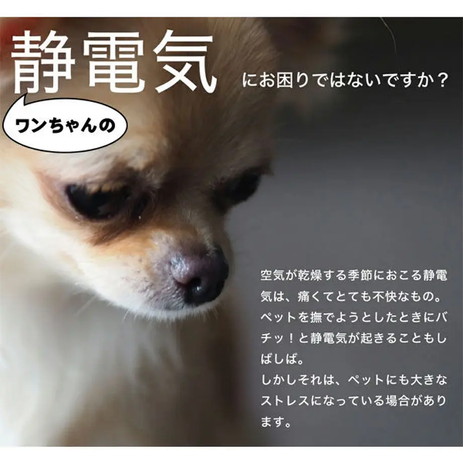 601221eb6728be28b8c41e38