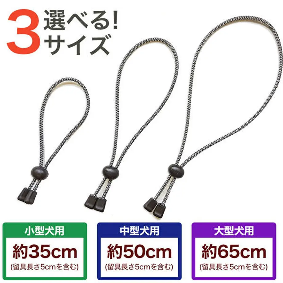 6038558cc19c451c40bf369a