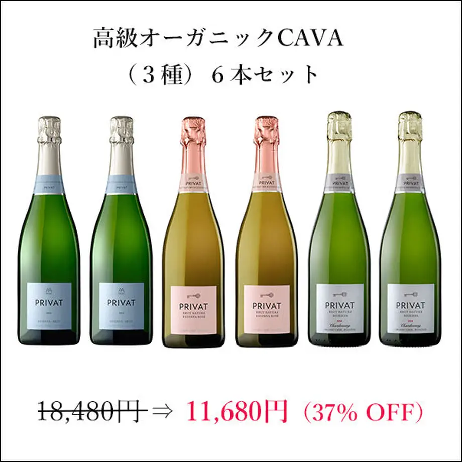 5ff02f83df515910ab3cb613