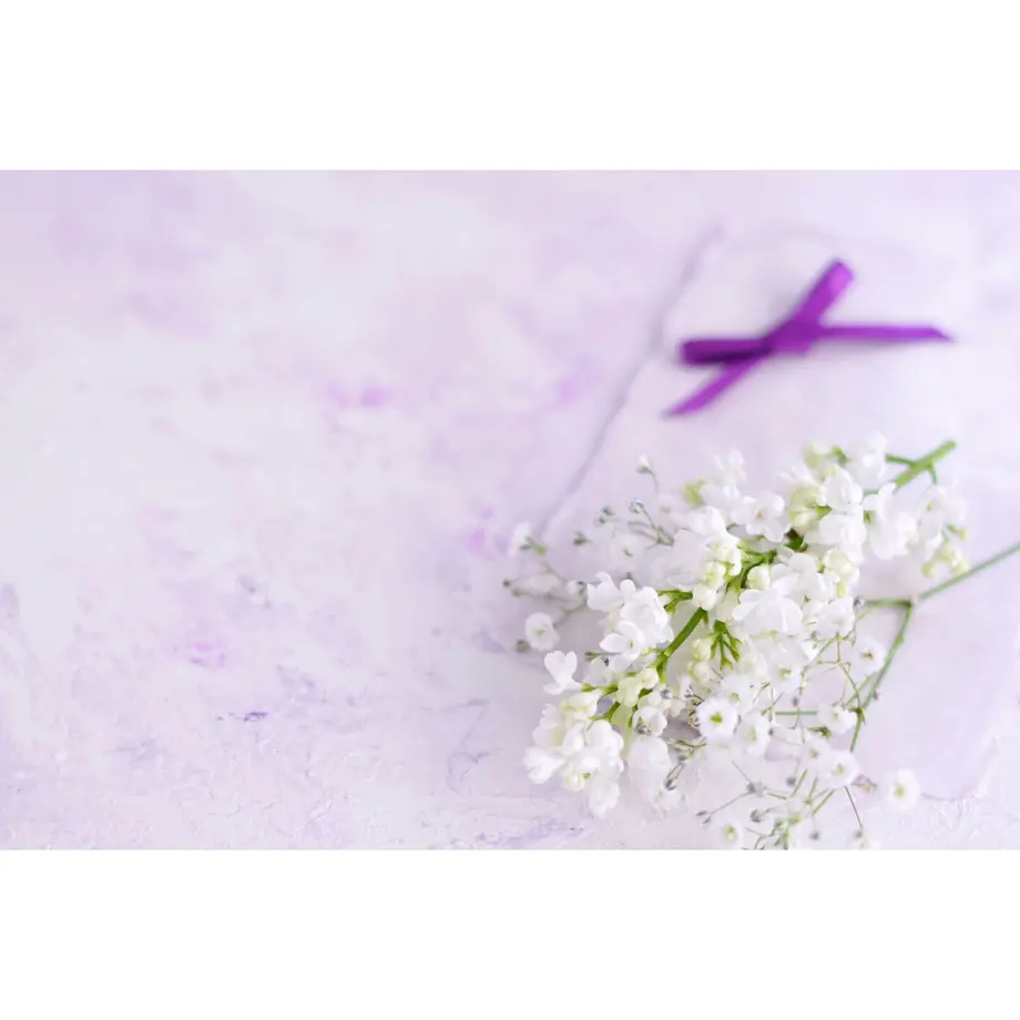 5feed1e2f0b108569a82d6fb