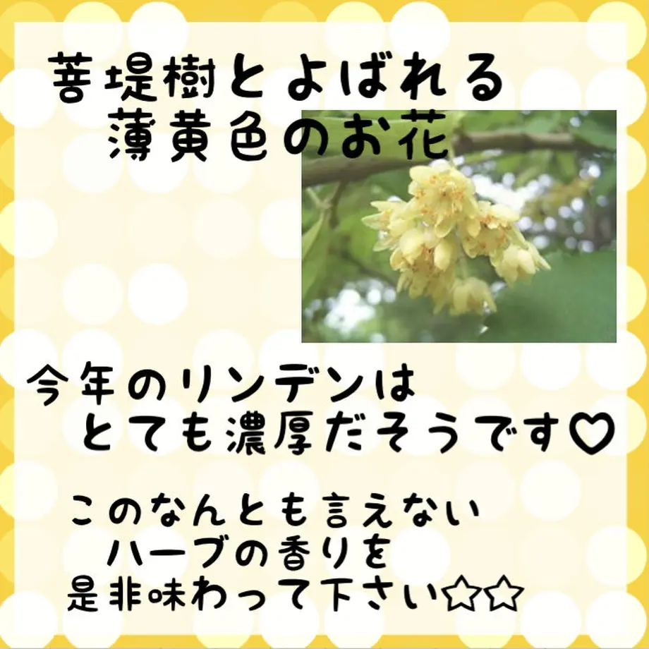 5ff071ef72eb461744493dd8