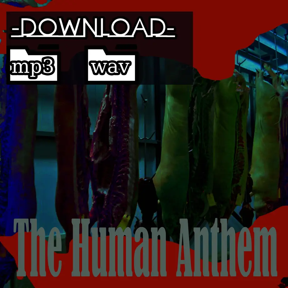 5f467fc97df2810c8cd100ce