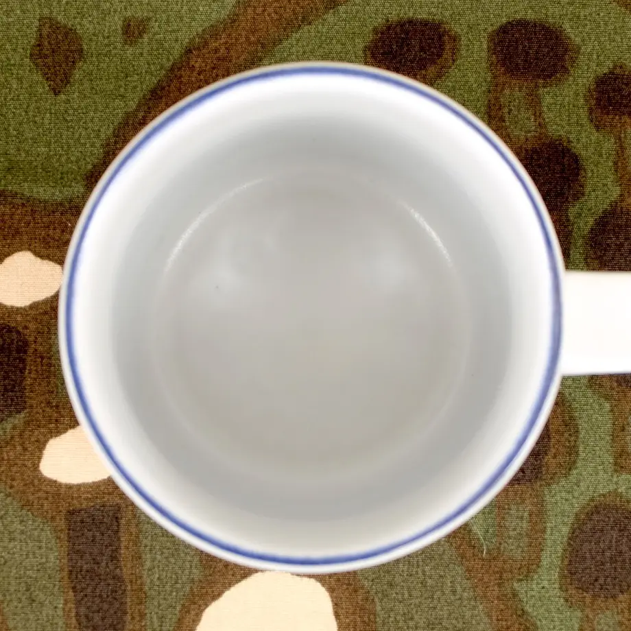 56fce794a458c0a4db0003ca