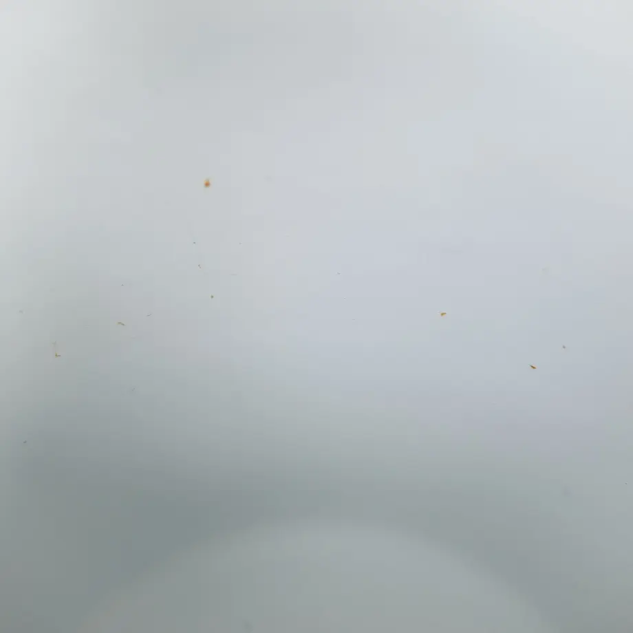 5e86ef84e20b0450028d0eb7