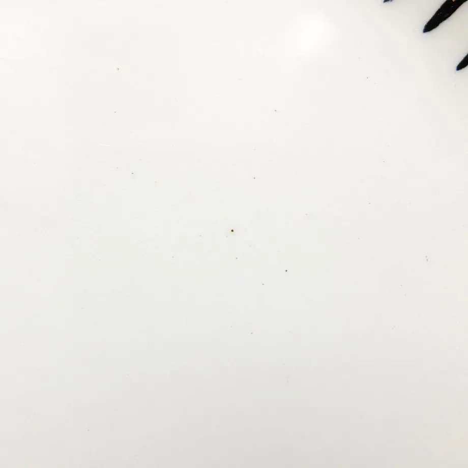 5ef6dcaed26fa53ab0fd7200