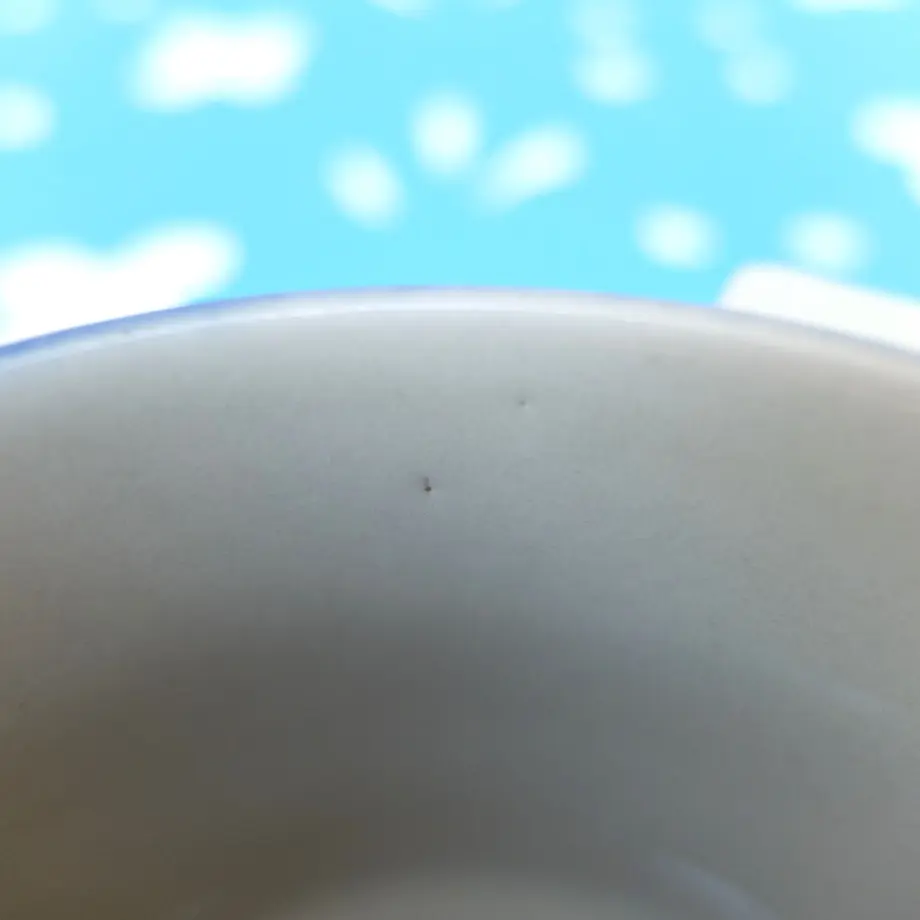 5f3792e9d7e1d86c75475f12