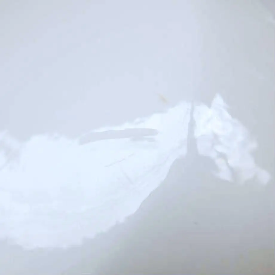 601f7822c19c451bc9d7f82f