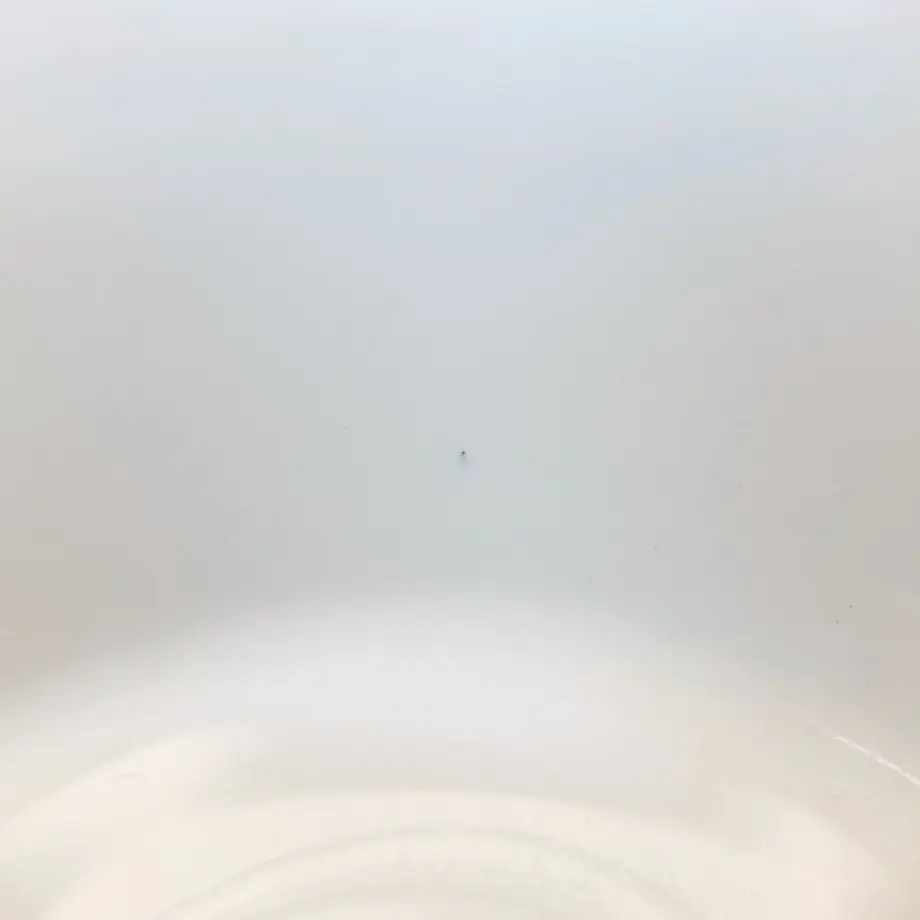 5ee5e4d0d26fa536e64da269