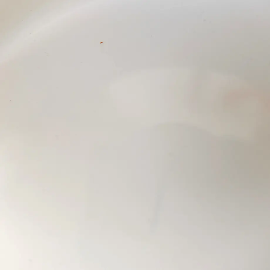 5fd5c95bdf51591ba29502ab