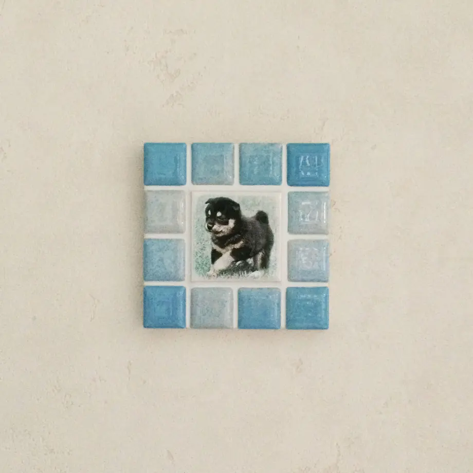 557fc75286b188065d000a01