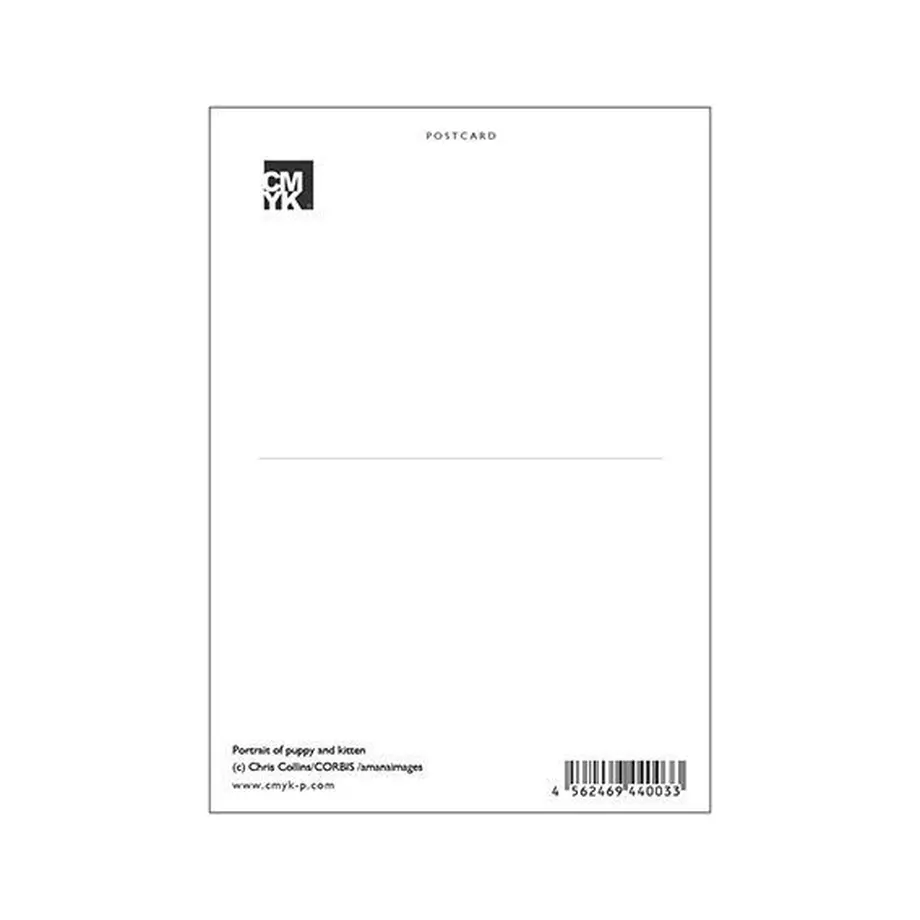 53463944236a1efd3a000133