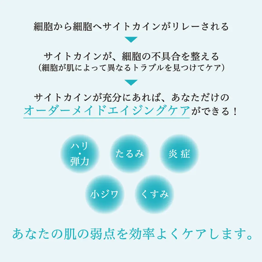 621333b9e85926795e1793e6