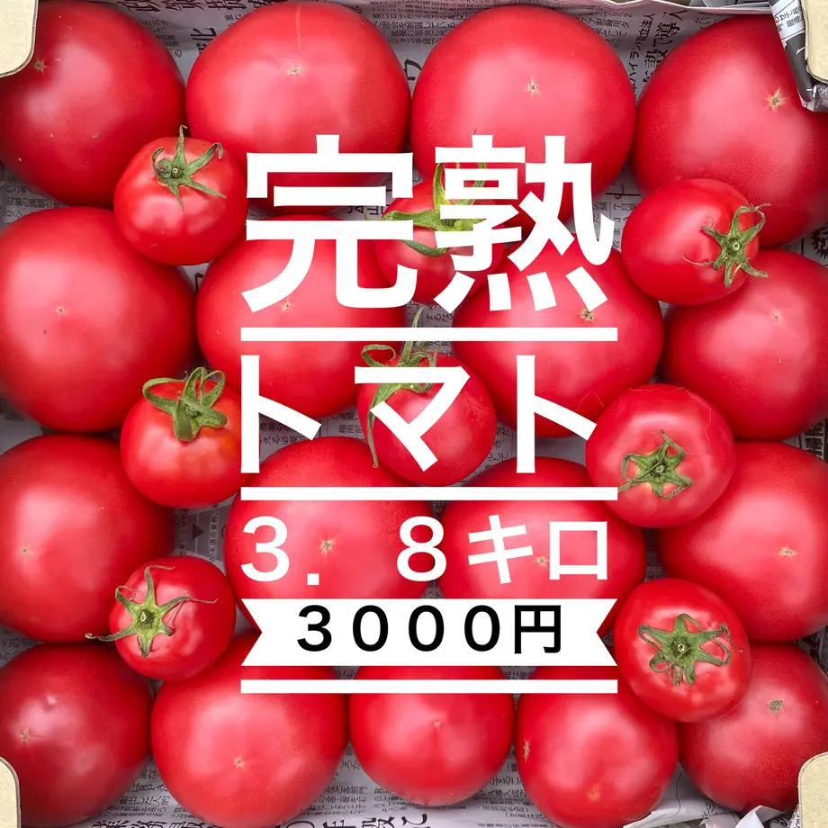 5f125f7b74b4e46cd6d651aa