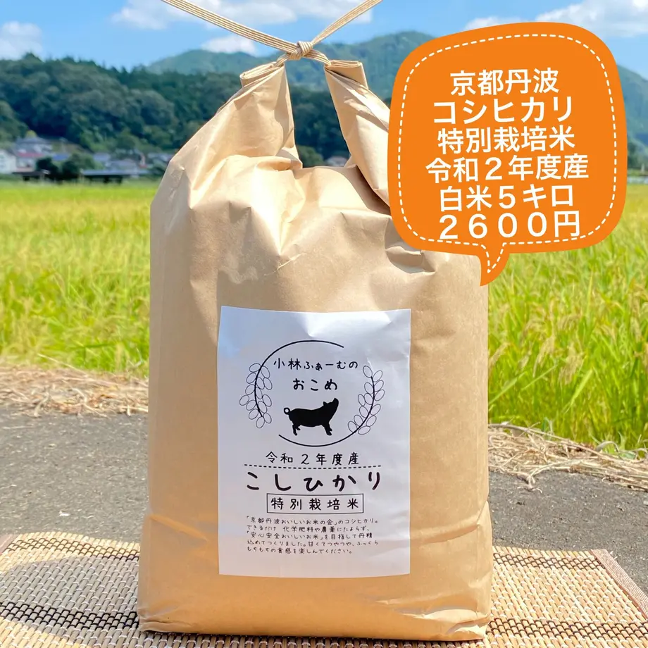 5f49c646791d023cd48fe8c6