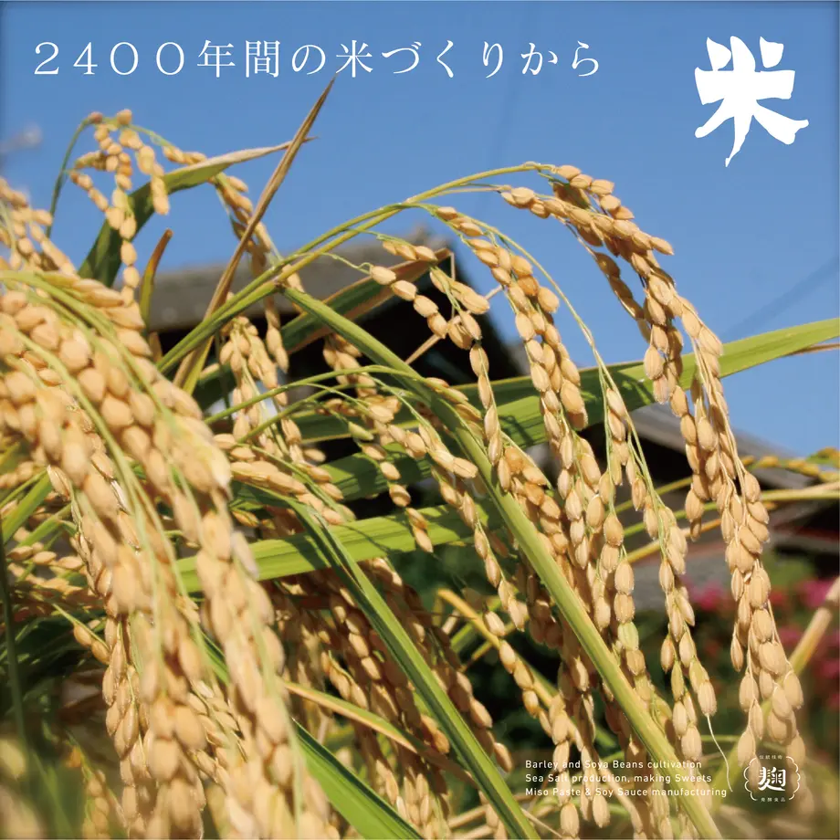 6396ee9b8d26fa158f5a4cf5