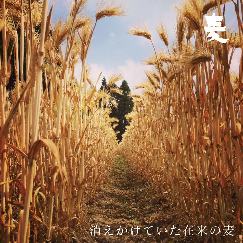 6396ee9b8d26fa158f5a4cf5