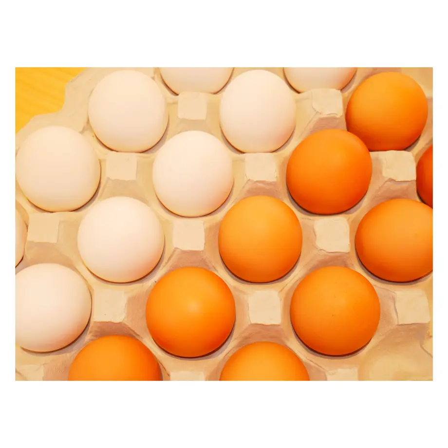 5ed0915ccee9ea7ae4e0bb8f