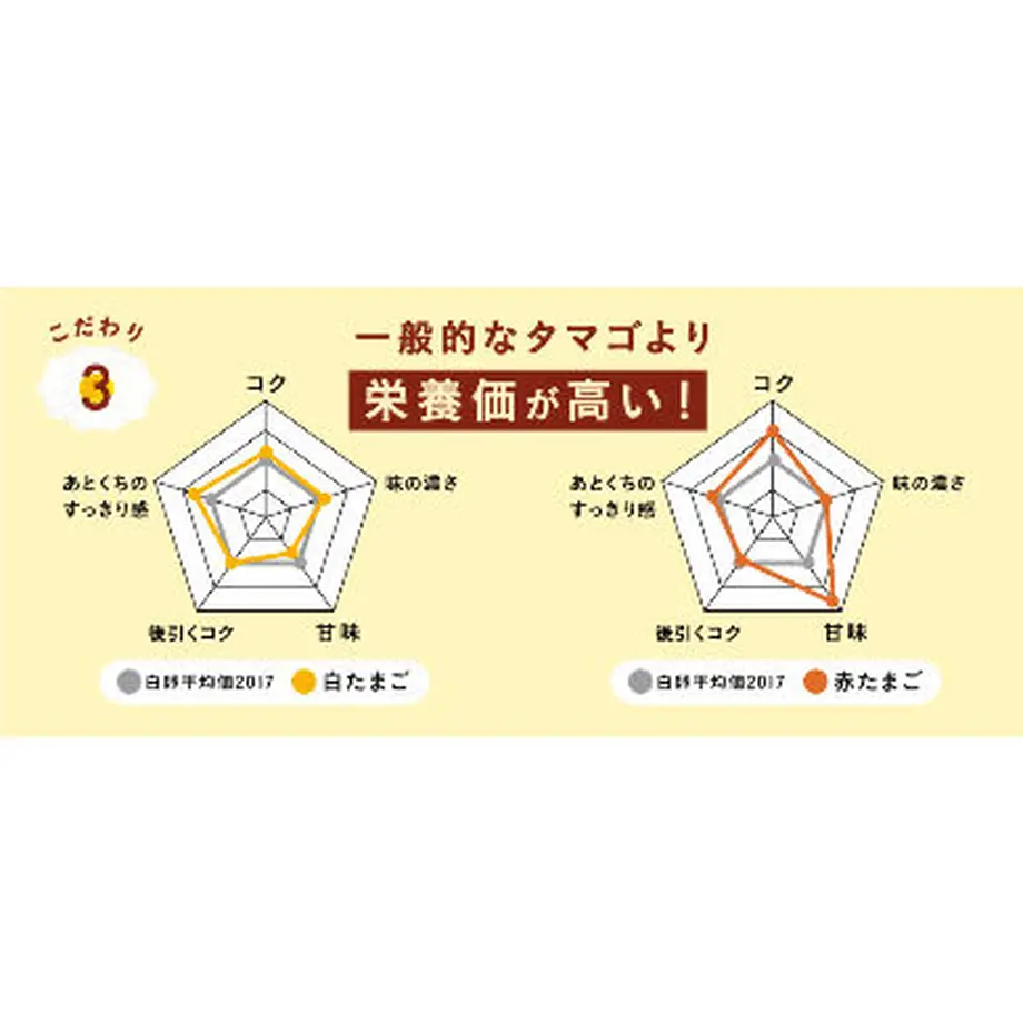 607fa99bda019c4e62b9b6f3