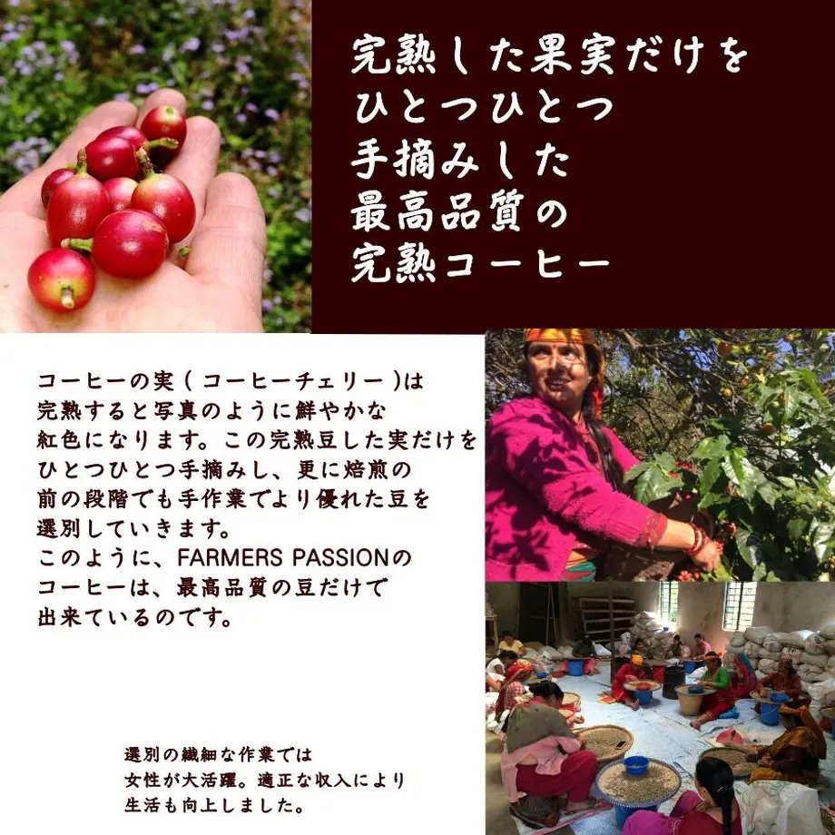 5eadee9334ef0146eb044d36