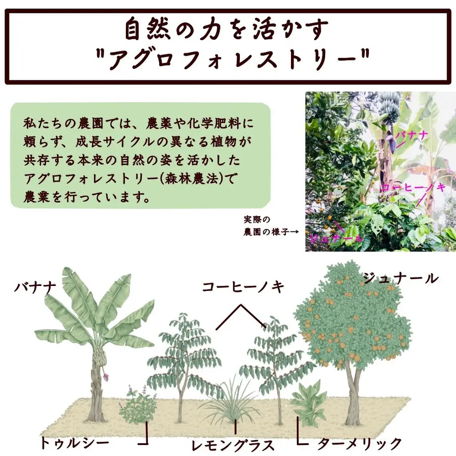 5c3f4d197cd3616d9401c48b