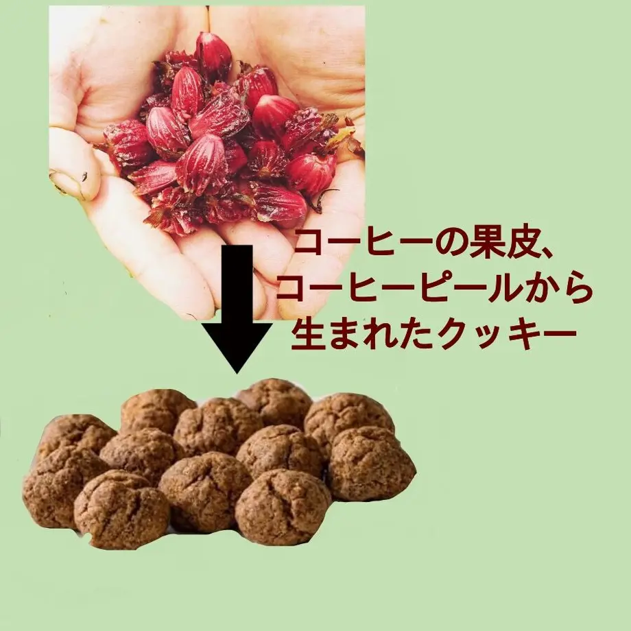5ead899c51576238ed5f446a