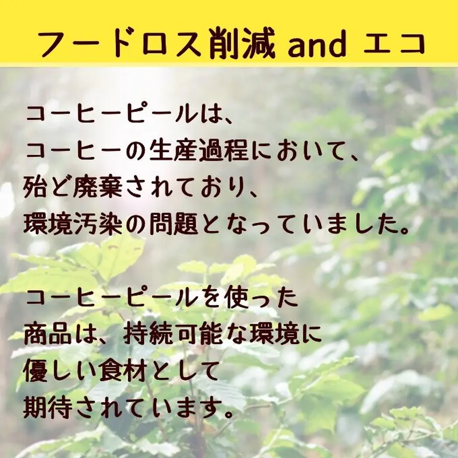 5f2d4edc7df2811093c01765