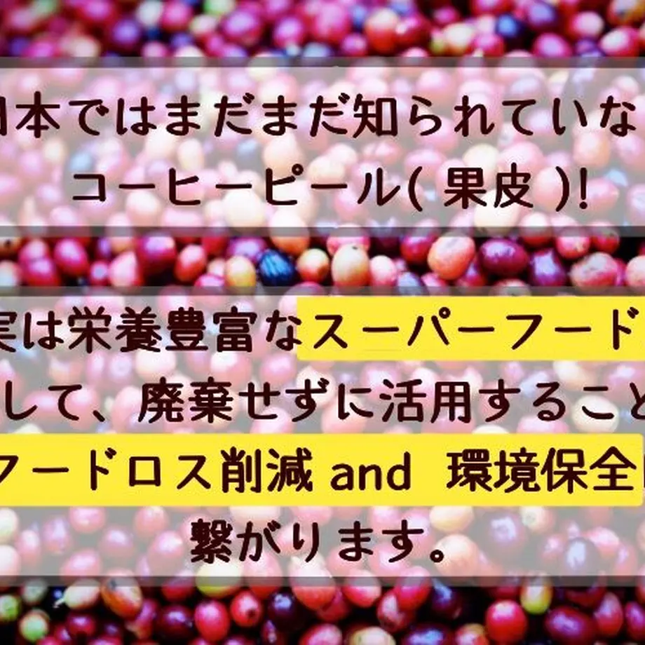 5bbcb097626c8437170003af