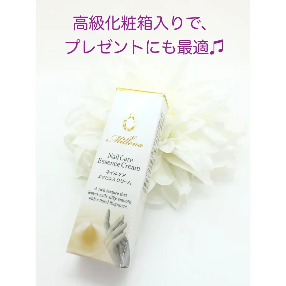 5cf3626f5f61ce6a74504dd6