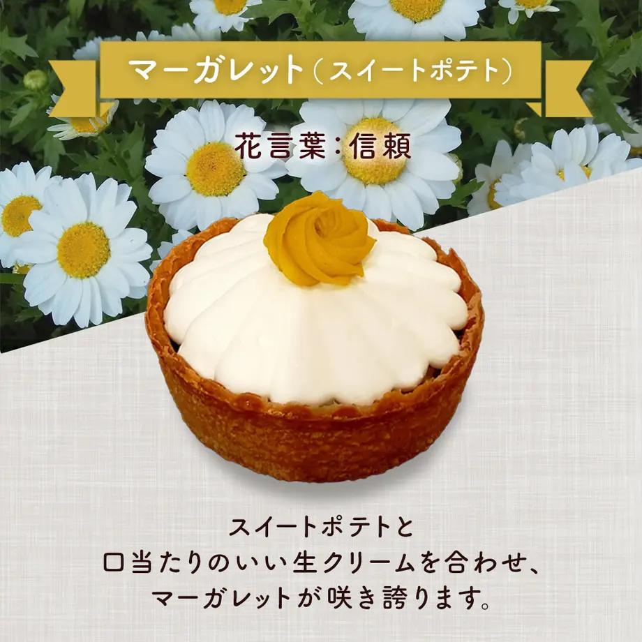 636b6255c92c5d37d2279527