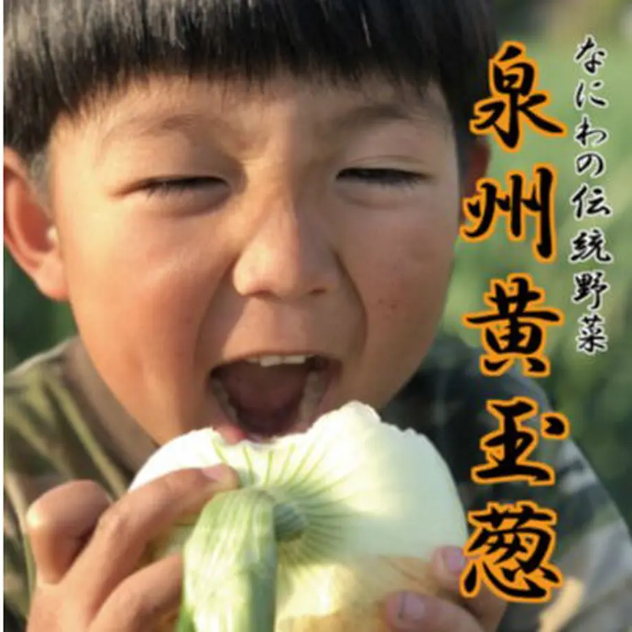 6260f7076b87c343ddffe765