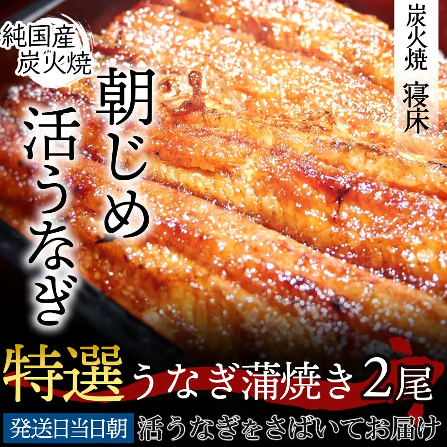 5ff3d9de72eb4650ef1a4c9c