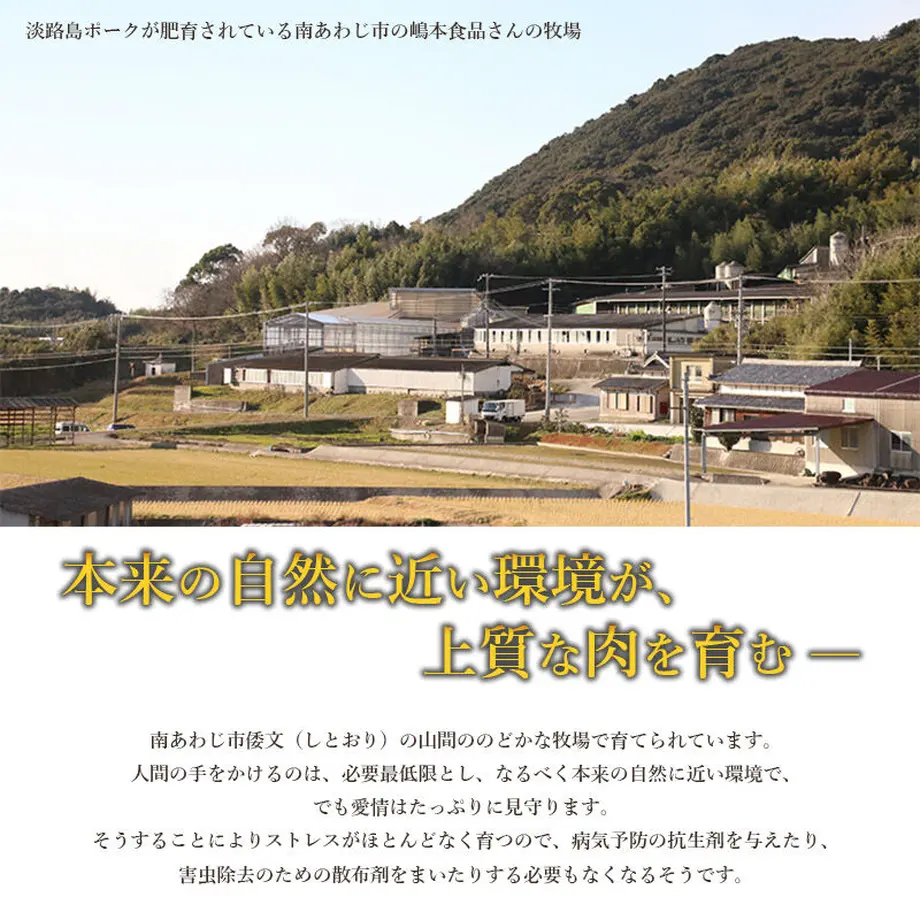 603df727c19c45408fe19d33