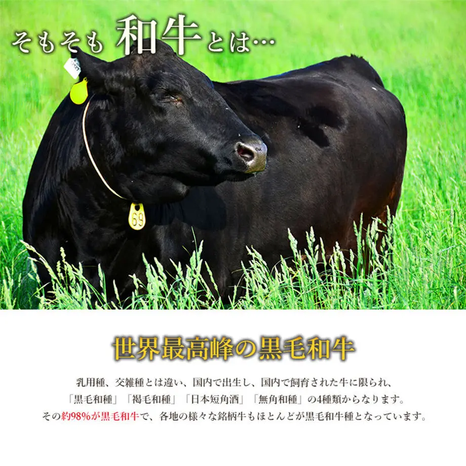 60f145c850a48a4f9e44f07b