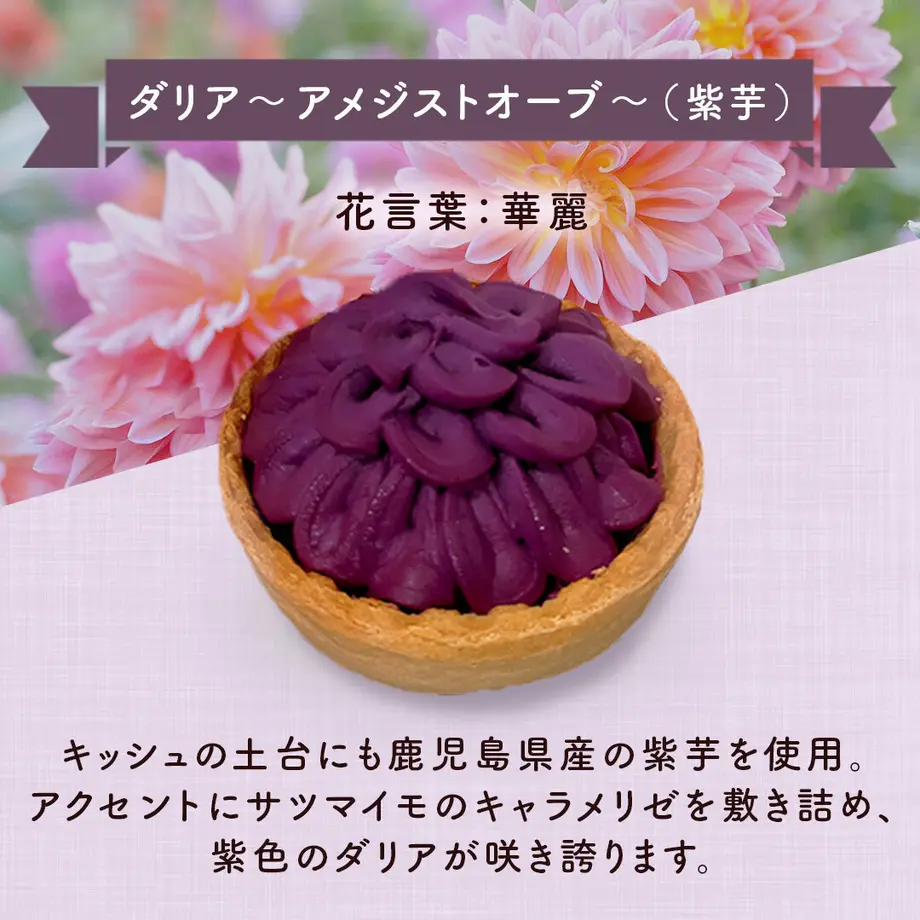 636b6255c92c5d37d2279527