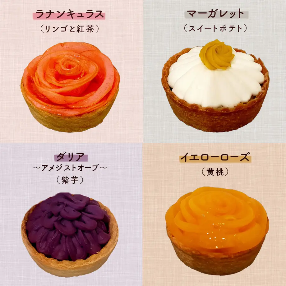636b6255c92c5d37d2279527