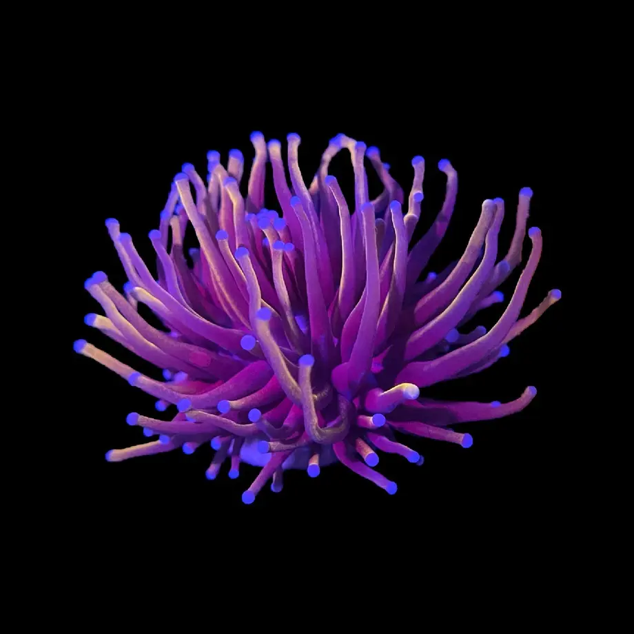 62fd75d5a7e56015475d021f